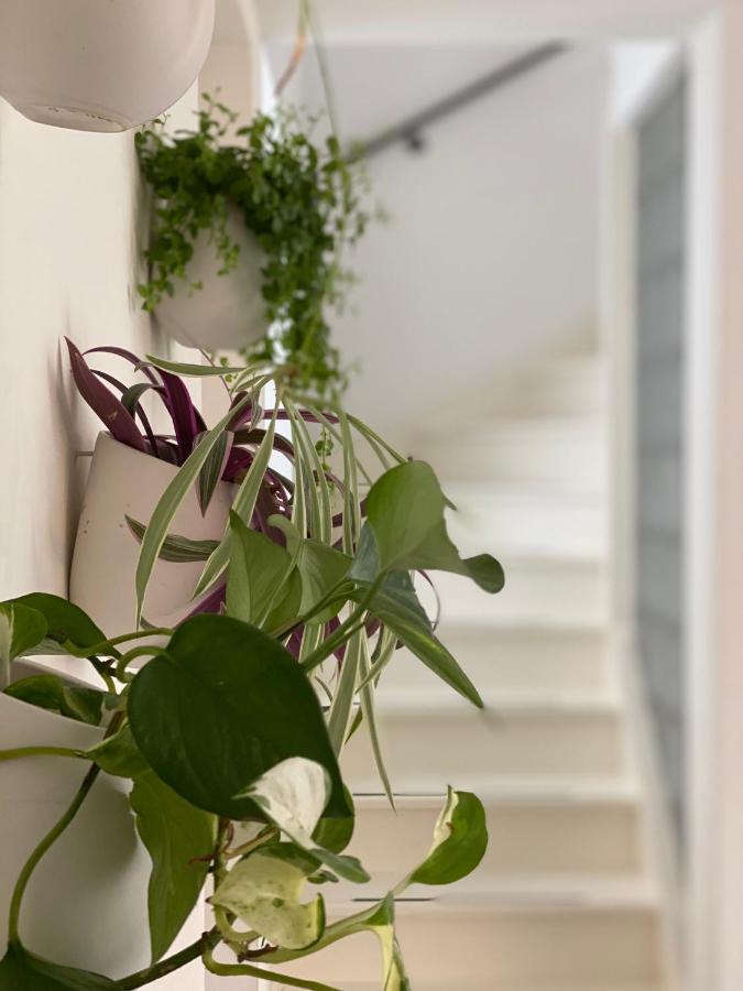 Romantic Wellness Bnb Noordwijk Extérieur photo